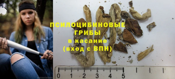 мяу мяу мука Покачи