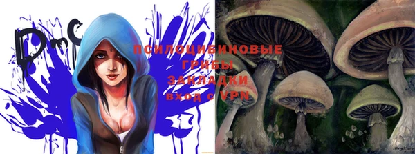 дурь Покров