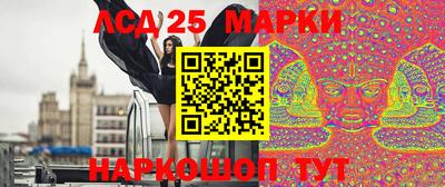 стафф Кингисепп