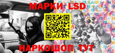 стафф Кингисепп
