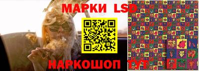 стафф Кингисепп