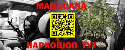 стафф Кингисепп