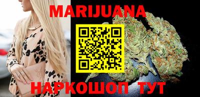 стафф Кингисепп