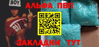 стафф Кингисепп