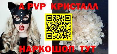 стафф Кингисепп