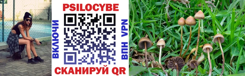 Псилоцибиновые грибы Cubensis  Рославль 