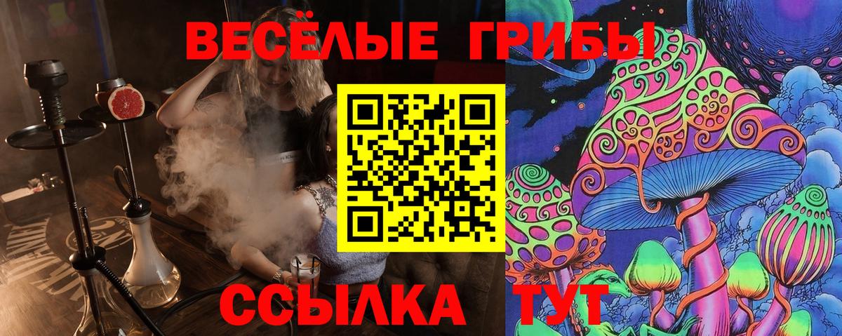 Галлюциногенные грибы GOLDEN TEACHER  Вход с VPN  Рославль  Псилоцибиновые грибы Cubensis 