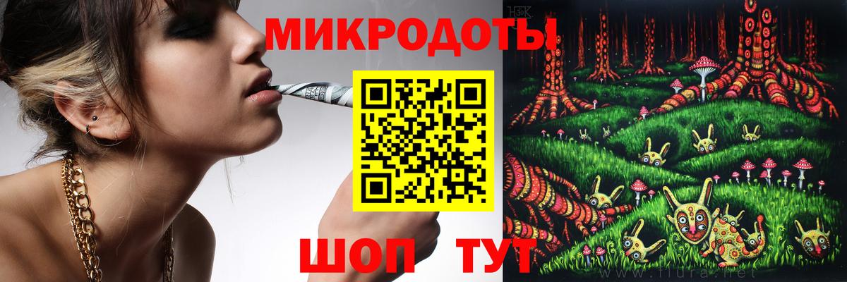 Псилоцибиновые грибы Psilocybe Рославль