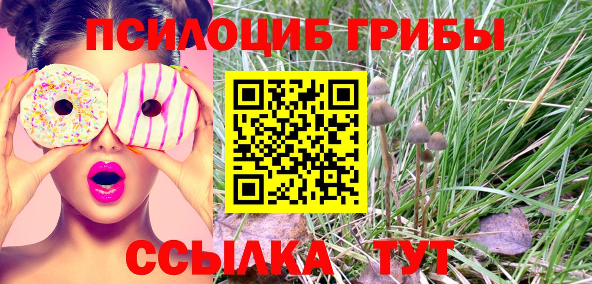 Псилоцибиновые грибы Psilocybe Рославль